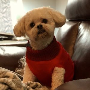 Meet your Posher, Beverly